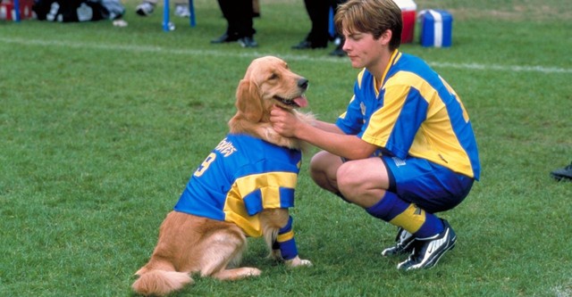 Air Bud World Pup